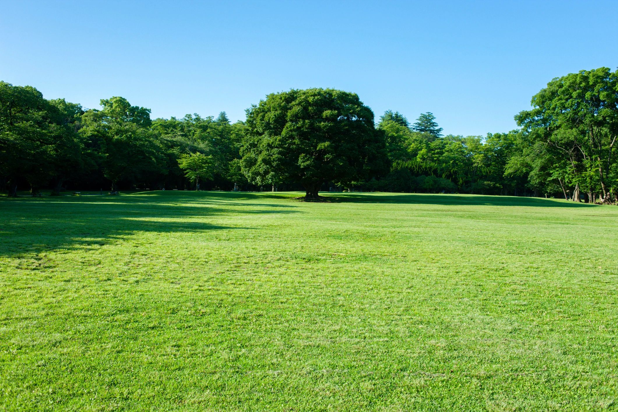 Green Park
