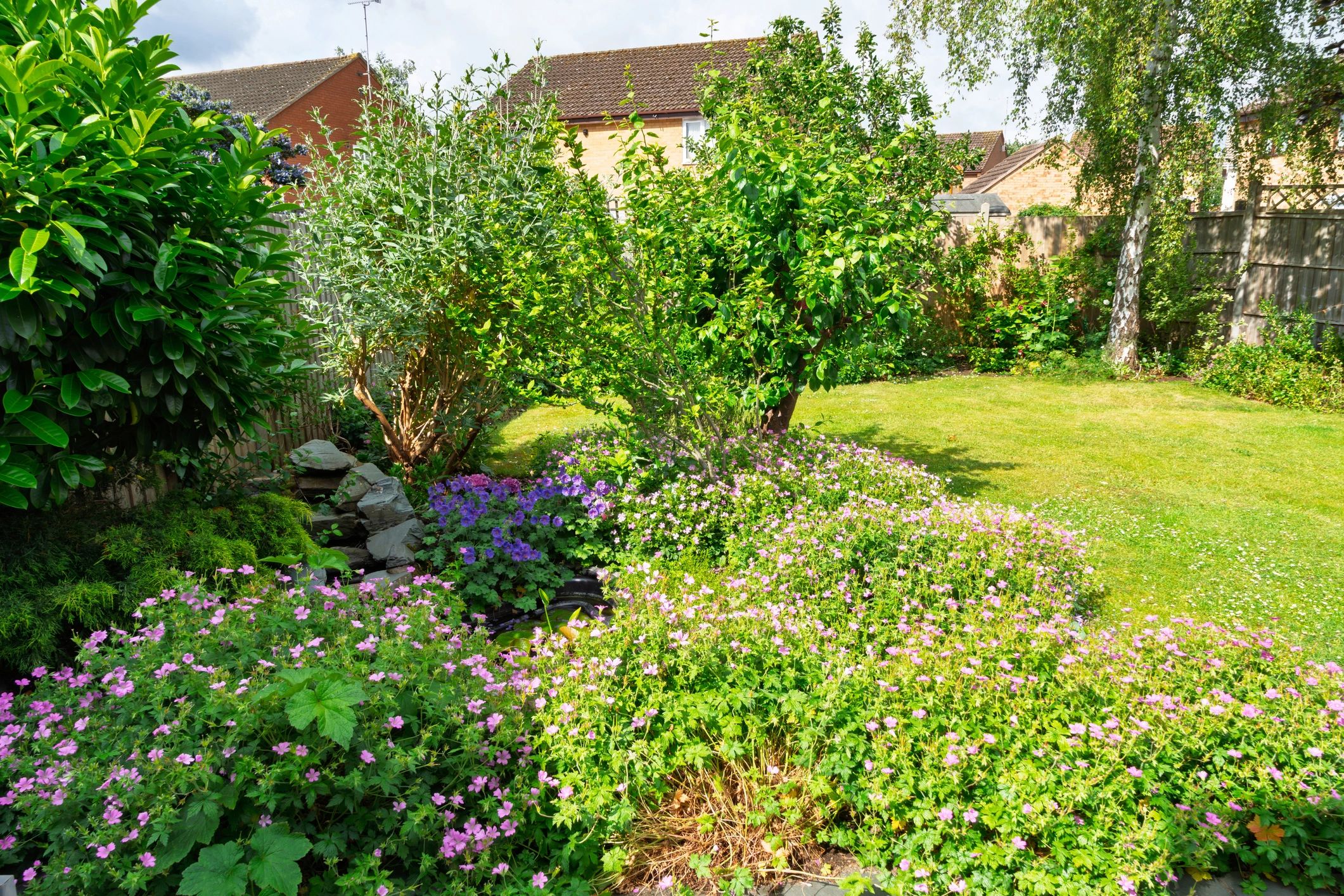 Garden pond with pink geraniums and purple flowers surrounded by lush greenery in Huntingdonshire, Cambridgeshire, UK